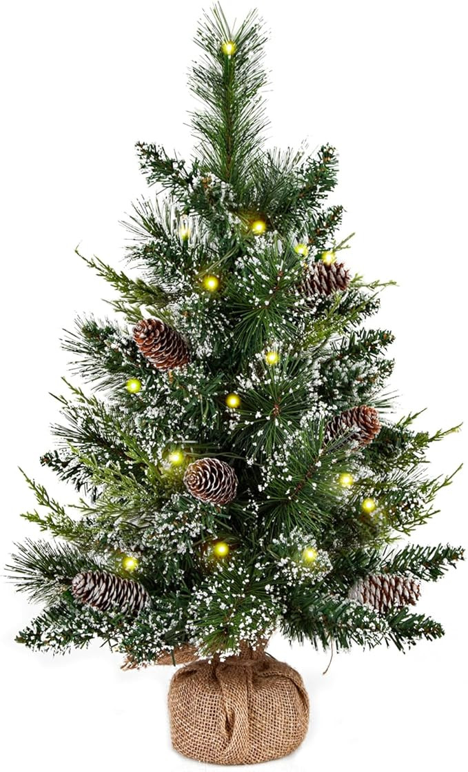deeinglif 2ft Mini Christmas Trees 24" with LED Lights and Pine,Tabletop Branches Cones and Cloth... | Amazon (US)