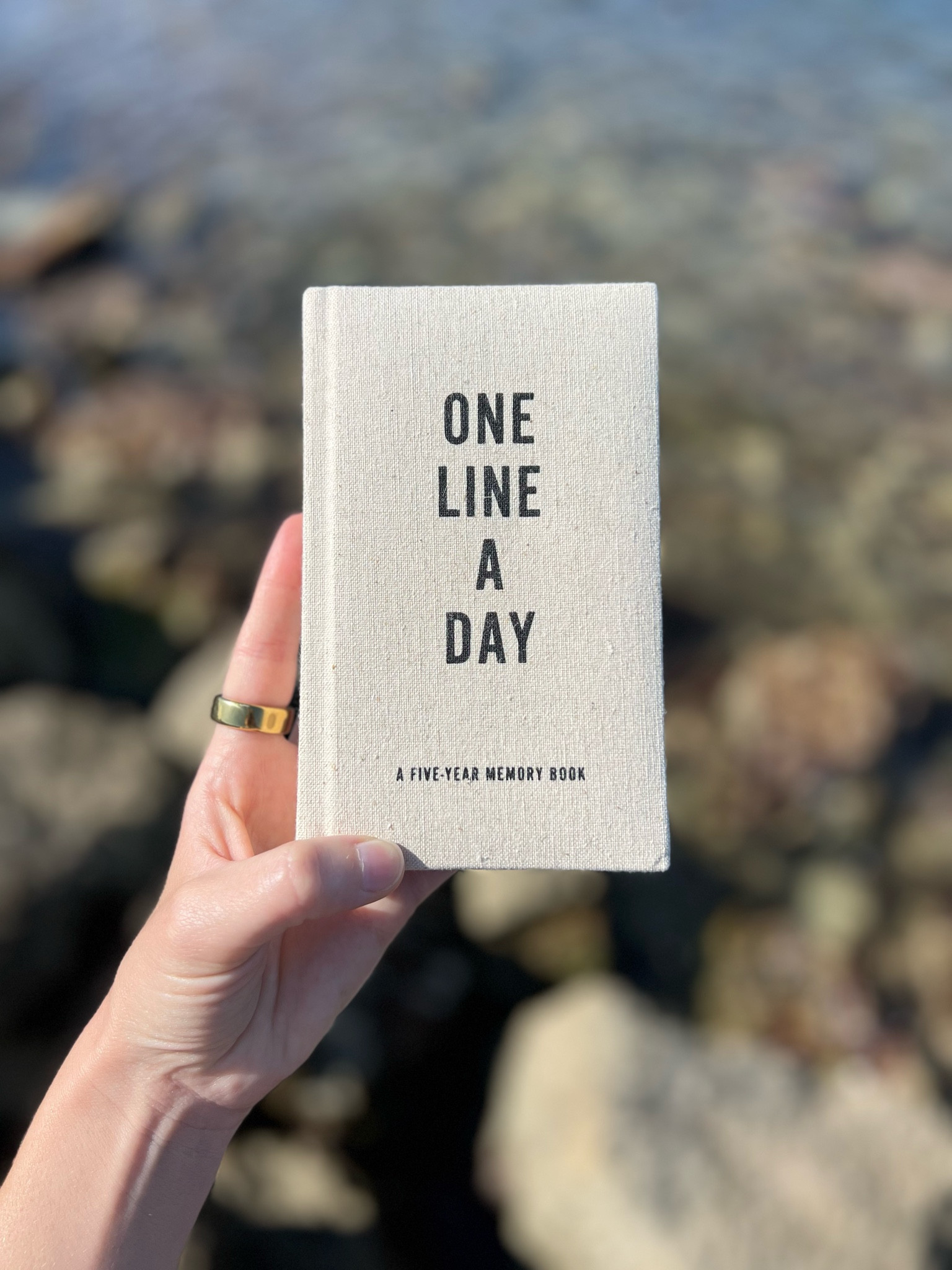 Started this journal and am loving it! You write one line a day — what you did, how you felt, or whatever you want to document. There’s an entry for every day for 5 years so you’ll be able to look back on how far you’ve come 💛 basically a life diary! 