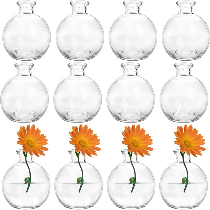 SOUJOY Set of 12 Small Glass Ball Bud Vase, Unique Mini Low Sitting Flower Vase, Clear Floral Cen... | Amazon (US)