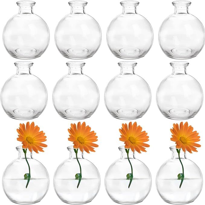 SOUJOY Set of 12 Small Glass Ball Bud Vase, Unique Mini Low Sitting Flower Vase, Clear Floral Cen... | Amazon (US)