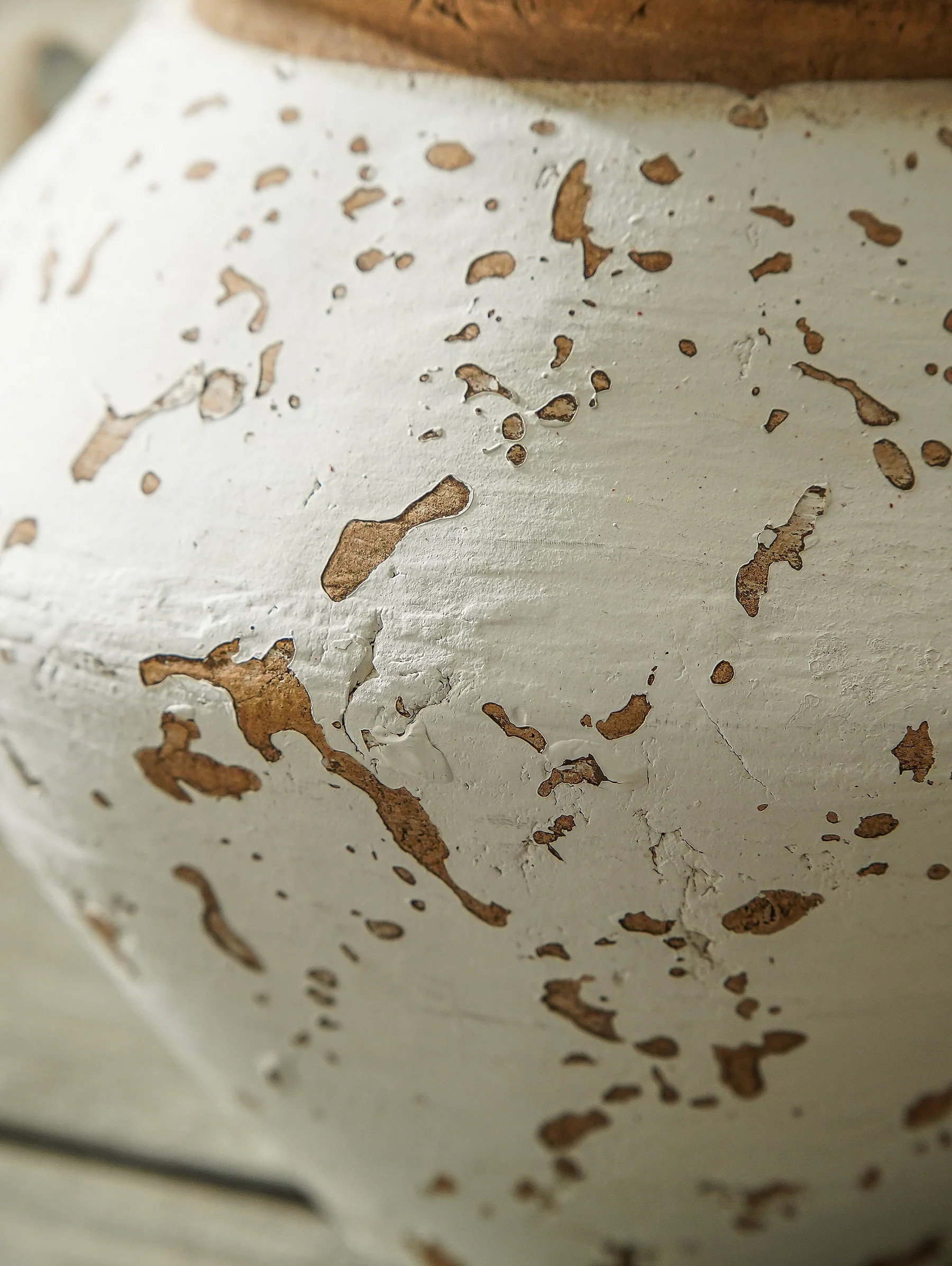Carlo Double Handled Vase | MJHome