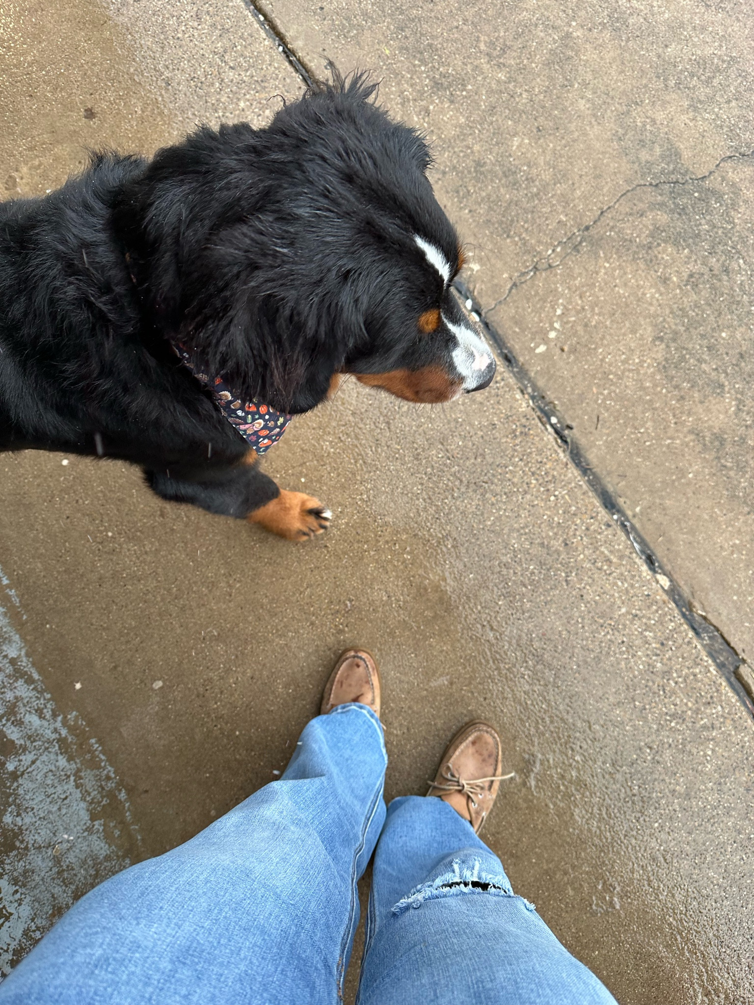Rainy days got me bringing out the oldie but goodie Sperrys! Just scooped some up for G for next summer at a major discount through J. Crew, over 50% off! 

#LTKFindsUnder100 #LTKFindsUnder50 #LTKKids