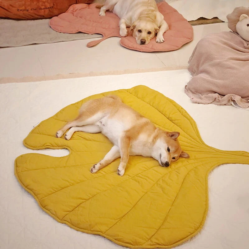 Leaf Shape Dog Blanket | FunnyFuzzy Affiliate Program