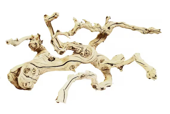 Sandblasted Grapewood/grapevine 18 Inches | Etsy | Etsy (US)