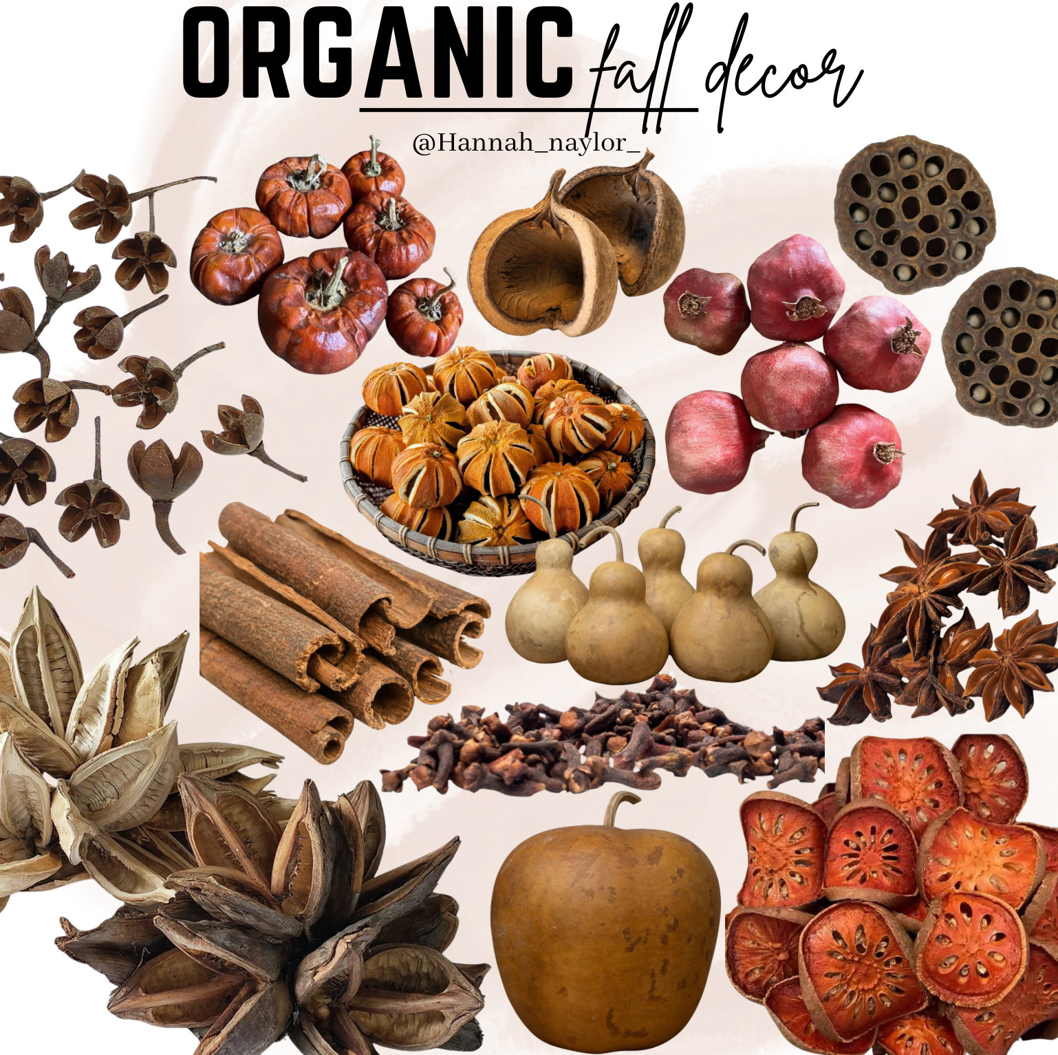 Fall decor - but, make it organic! I love leaning into natural materials when it comes to decorating my home for the fall months. Here's a round up of items I have utilized within my home! #fall #falldecor #organicfalldecor #home  

 #LTKSeasonal #LTKU #LTKHome