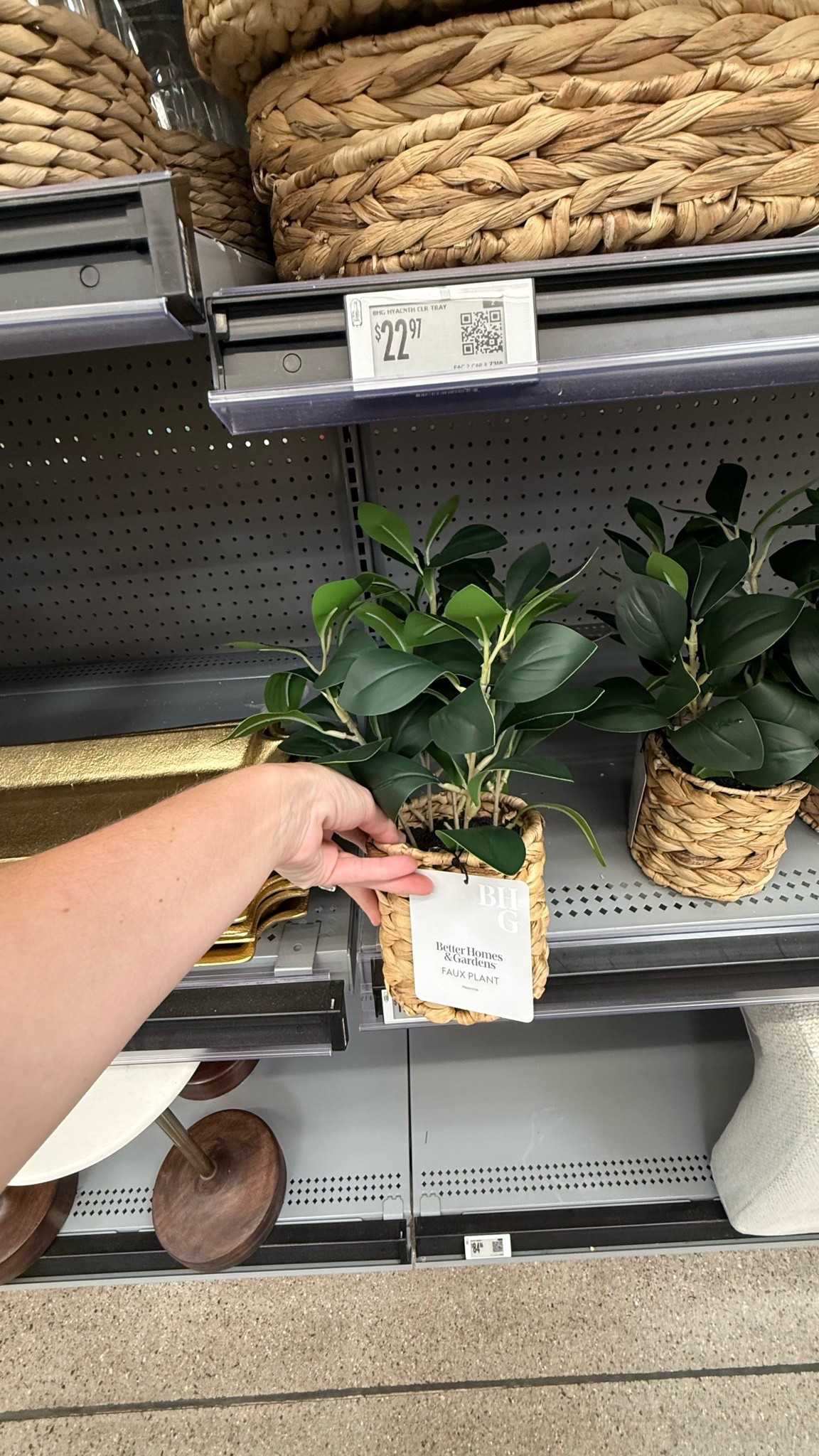 Your home deserves greenery that never dies 🌿✨ Obsessed with this Better Homes & Gardens faux peperomia plant from Walmart — the woven basket planter is chef’s kiss and it looks so real! Zero maintenance, all the vibes. Perfect for a shelf, nightstand, entryway table, or that corner that just needs something.

#WalmartHome #WalmartFinds #FauxPlants #ArtificialPlants #FauxGreenery #PlantDecor #HomeDecorFinds #BetterHomesAndGardens #AffordableHomeDecor #ShelfDecor #NeutralHome #ModernHomeDecor #WovenBasket #LowMaintenancePlants #HomeInspo #LTKHome #LTKUnder50 #LTKFinds