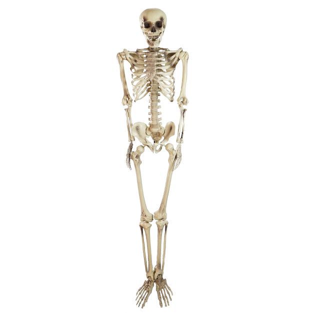 Northlight 5' Life Size Skeleton Indoor/Outdoor Halloween Decoration - White/Gray | Target