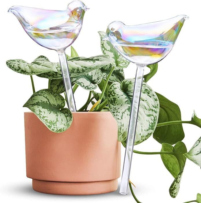 NiHome Bird Spike Plant Watering Globe 2-Pack 10" Light Gradient Hand-Blown Glass Globe Pot Plant... | Amazon (US)