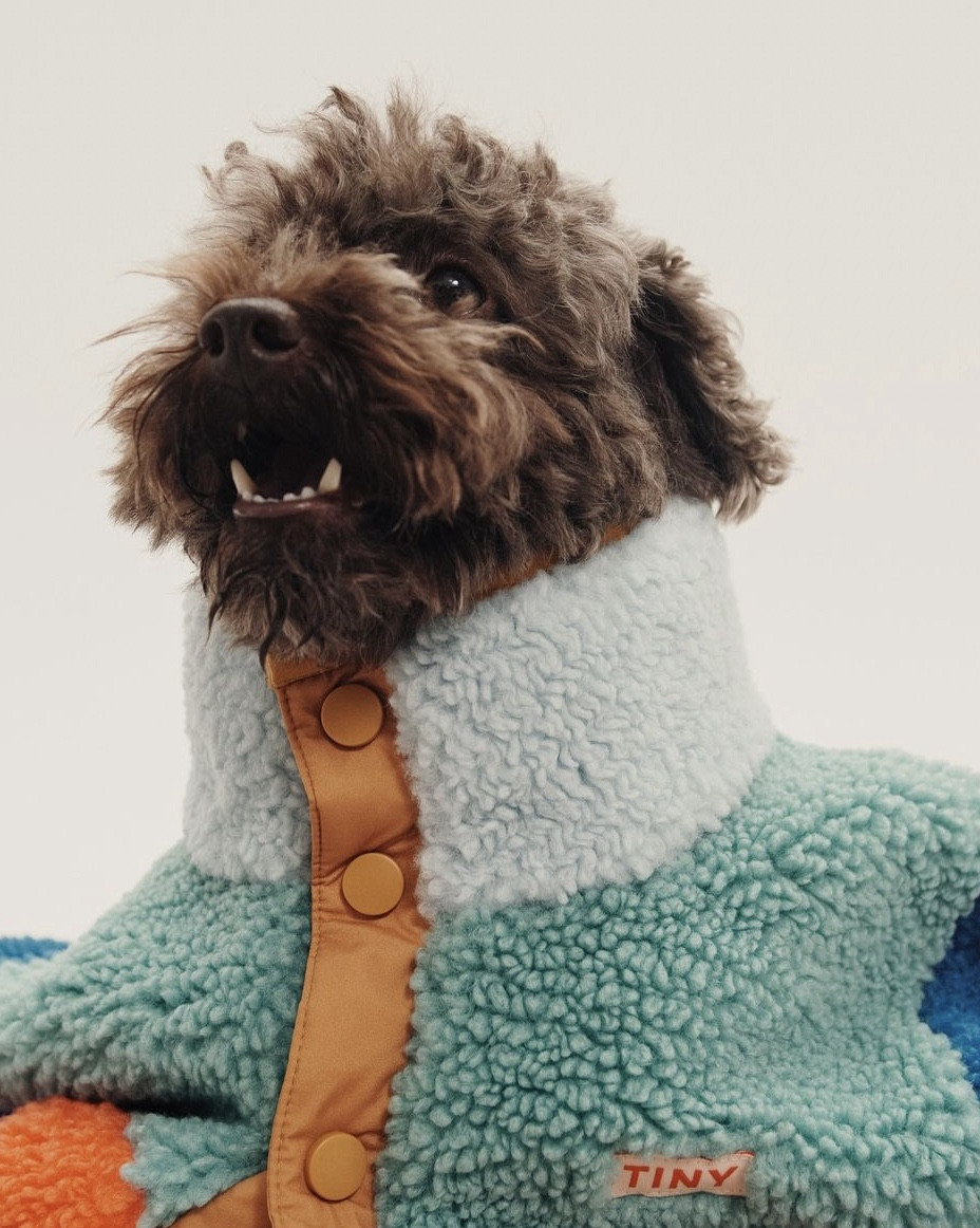 Coolest new kids collection from Tiny Cottons x La Redoute 

#LTKuk #LTKfamily #LTKkids