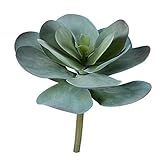 Vickerman Everyday 12" Blue Succulent Stem - Faux Indoor Decorative Plant - Greenery For Home Or Off | Amazon (US)