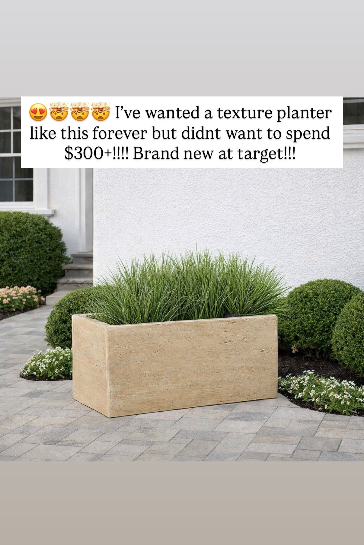 😍🤯🤯🤯 I’ve wanted a texture planter like this forever but didnt want to spend $300+!!!! Brand new at target!!!

#LTKSpringSale #LTKHome #LTKSeasonal
