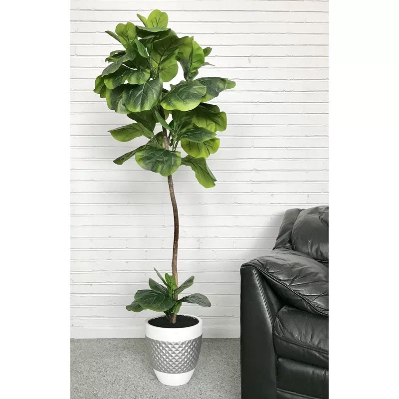 Fiddle-Leaf Fig Floor Palm Tree in Pot | Wayfair North America