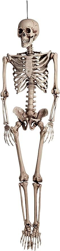 Boland 74515 – Squelette, Environ 160 cm | Amazon (FR)