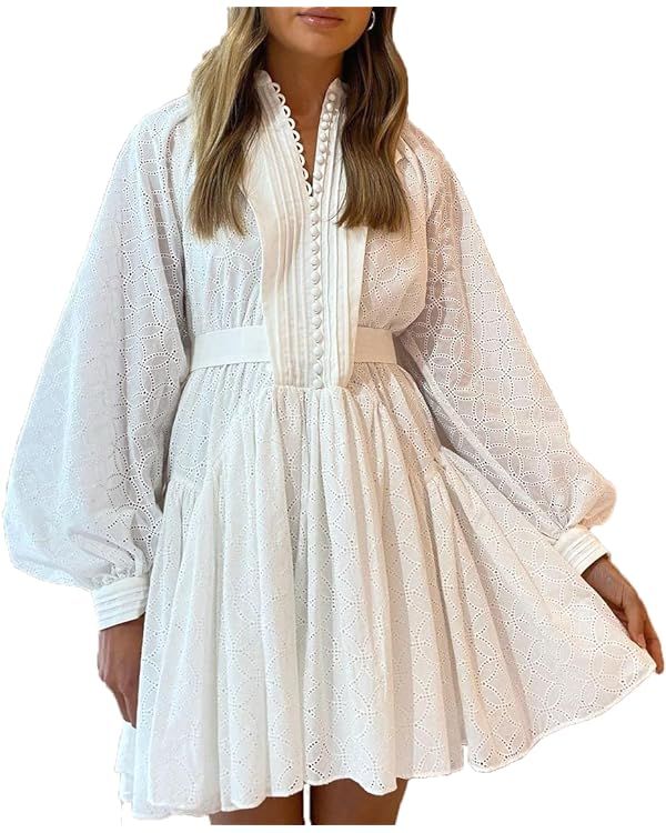 Aofur Summer Cotton V Neck Long Losse Sleeve Casual Party A-Line Dresses Embroidery Short Dress | Amazon (US)