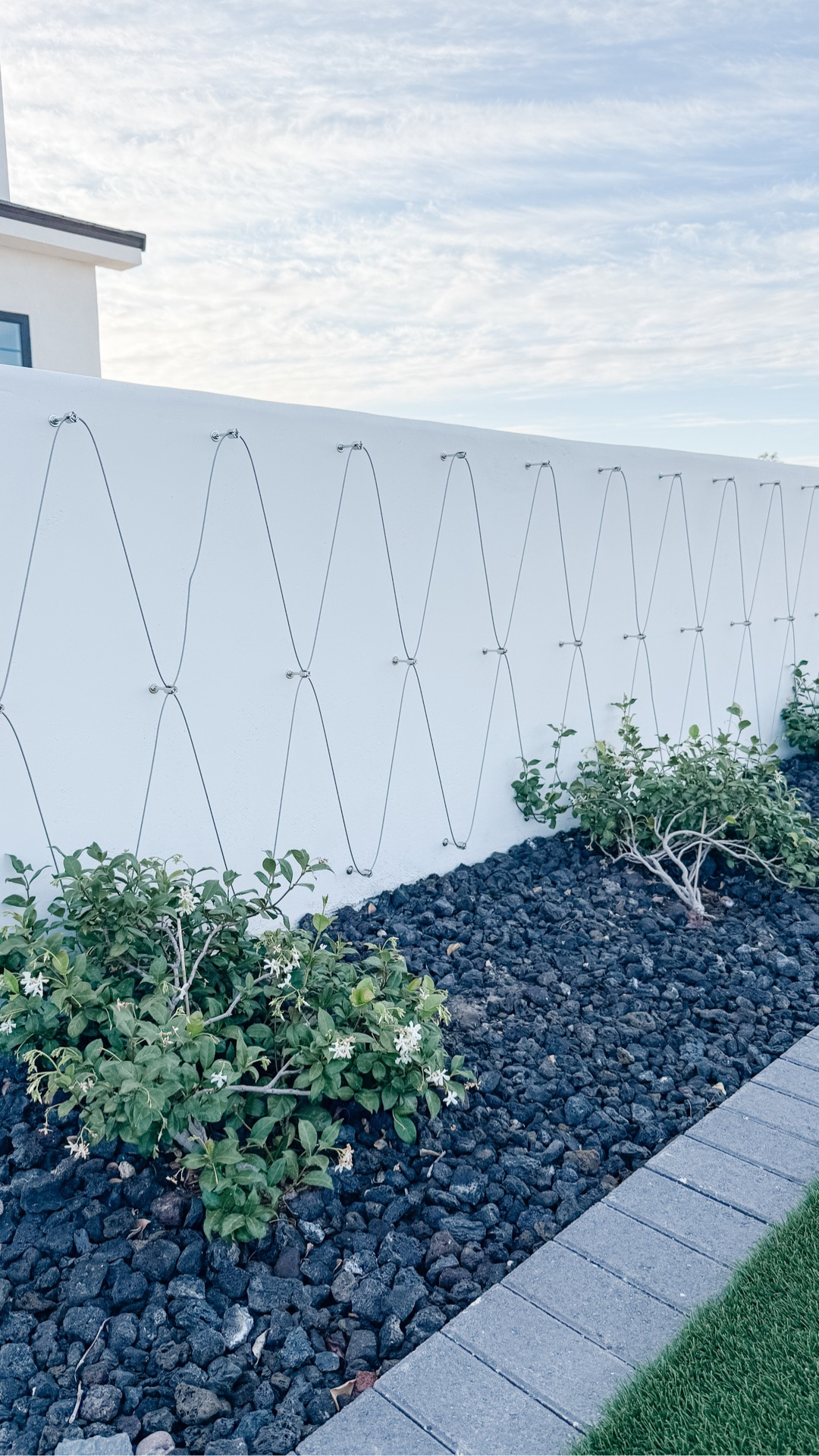 DIY Jasmine Trellis

#LTKdayinmylife #LTKHome #LTKSeasonal