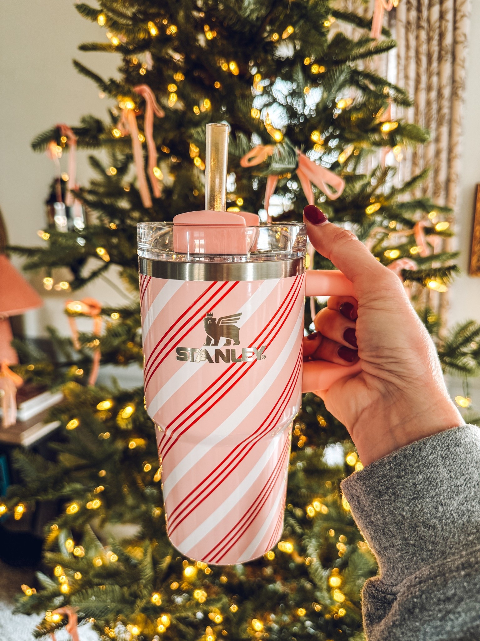 Your favorite cup of cheer deserves a festive tumbler — find this candy-cane cutie at Target! ❤️🤍

#LTKHoliday #LTKGiftGuide #LTKHome