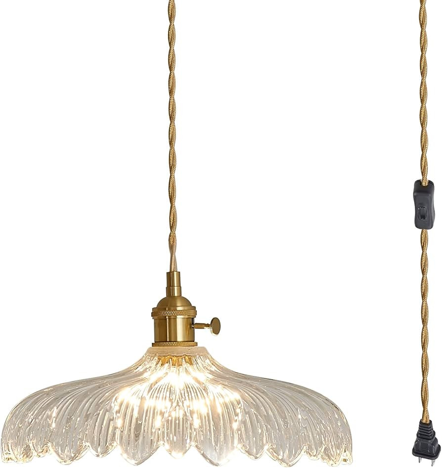 Plug in Pendant Light, Clear Glass Shade Hanging Light, Industrial Pendant Light for Entryway, Di... | Amazon (US)