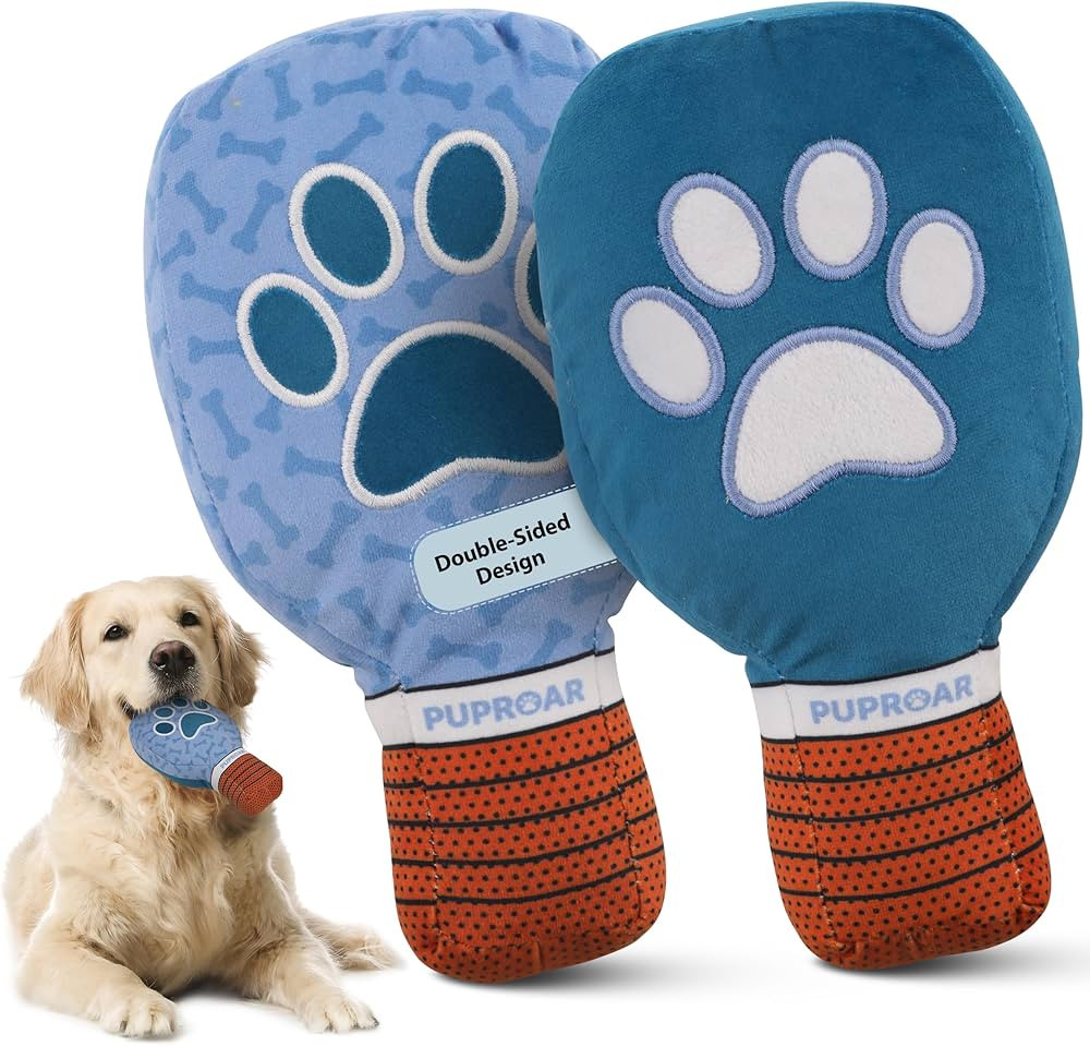 Pickleball Dog Toy – Funny and Cute Dog Toys for Fetch! Squeaky Plush Pickleball Paddle with Cr... | Amazon (US)