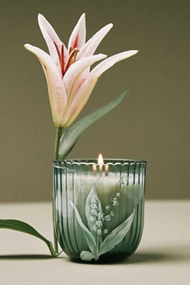 Birth Month Flower Boxed Candle | Anthropologie (US)