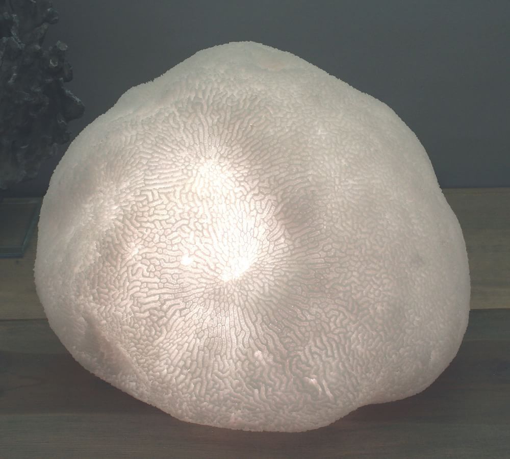 Decorative Light Up Frosted Glass Coral | Pottery Barn (US)