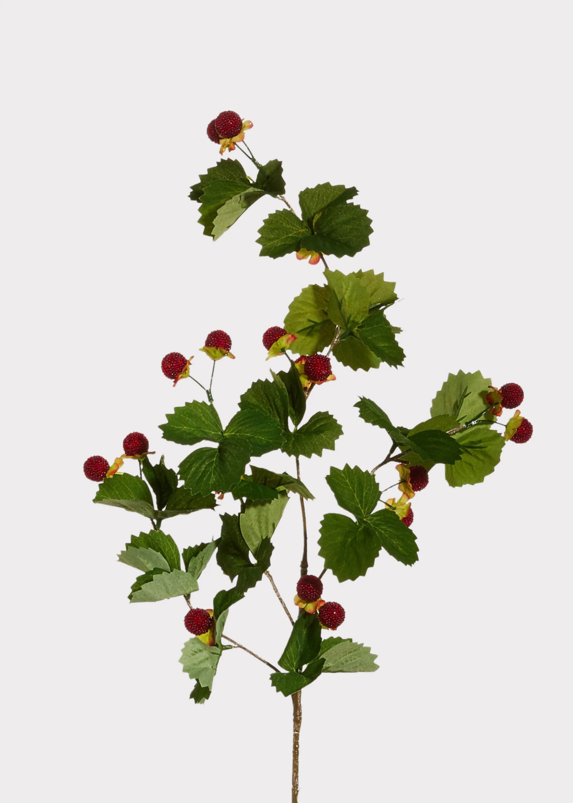 Red Raspberry Branch | Lifelike Artificial Berries | Afloral | Afloral