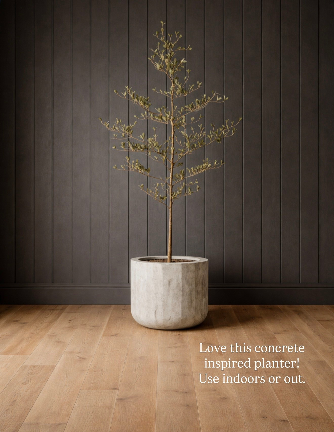 Love this concrete style planter and this 7 foot olive tree is on sale for under $55!

#LTKSaleAlert #LTKHome