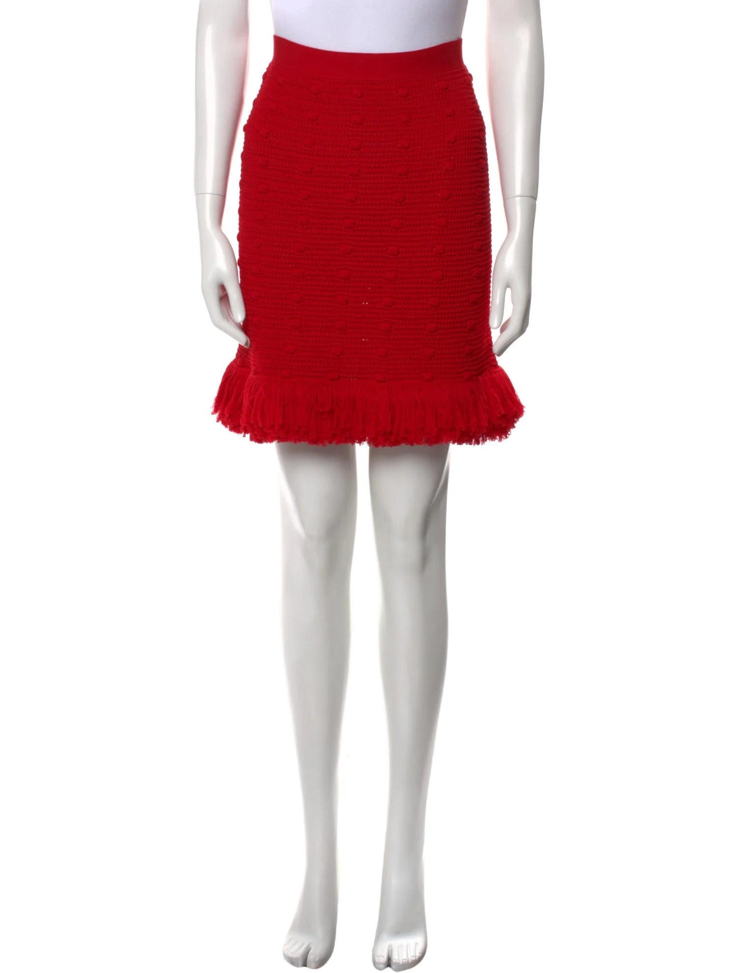 Bottega Veneta Fringe Trim Accent Knee-Length Skirt | The RealReal
