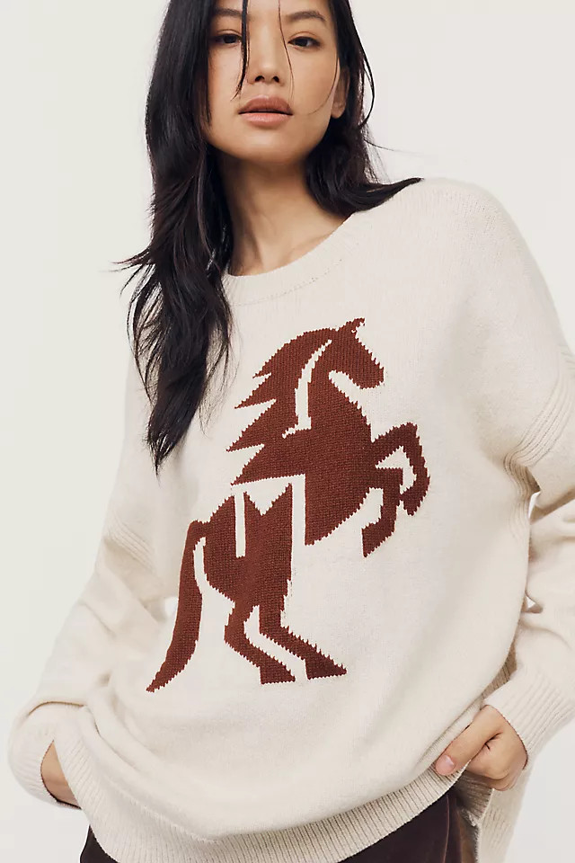 Oversized Graphic Crew-Neck Sweater | Anthropologie (US)