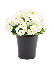 Outdoor 
												 / | Marshalls