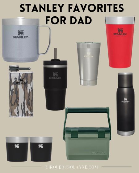 Father’s Day gifts, Stanley cup, Stanley tumblers, coolers, flasks, glasses, gifts for him, gifts for dad

#LTKunder50 #LTKGiftGuide #LTKmens