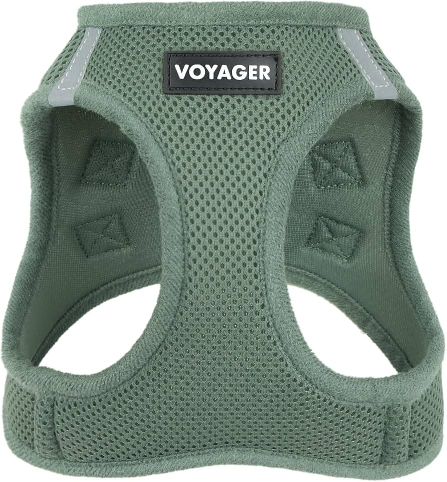 Amazon.com : Best Pet Supplies Voyager Step-in Air Harness - All Weather Mesh, Reflective, No Pul... | Amazon (US)