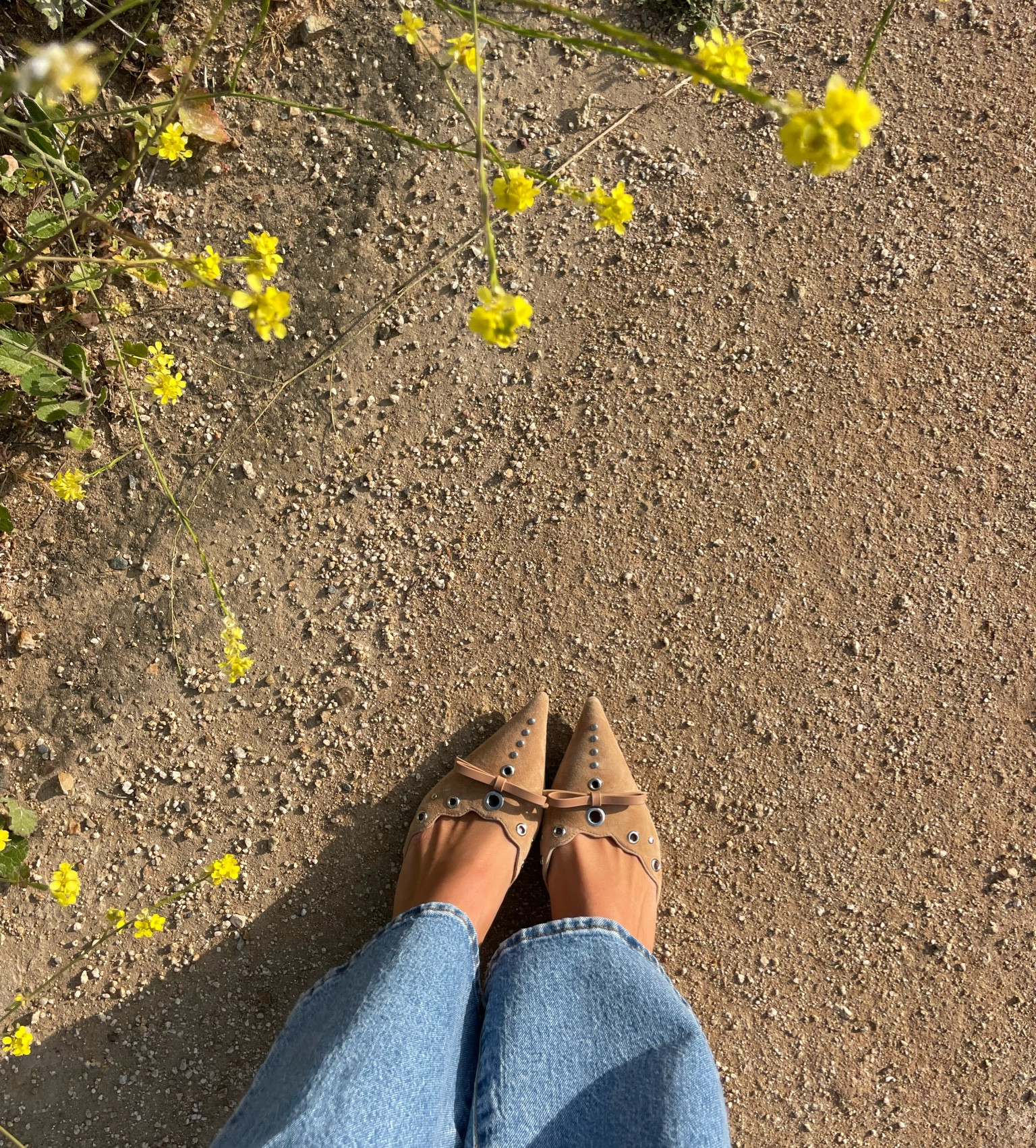 My #1 mule babies 🤭🍂🤎

#LTKshoecrush #LTKSeasonal
