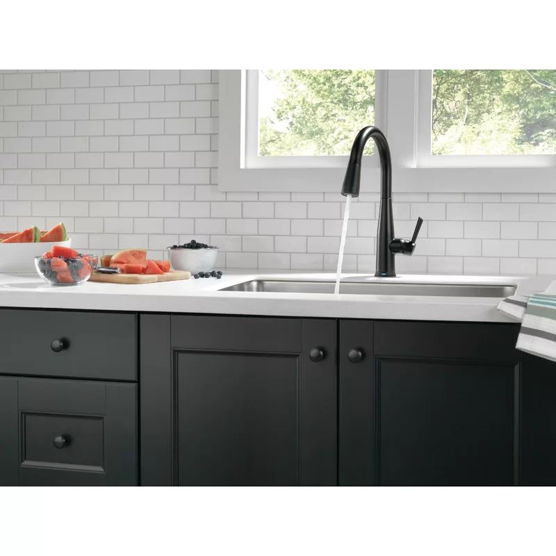9113T-BL-DST Essa Pull Down Single Handle Kitchen Faucet with MagnaTite Docking and Touch2O Techn... | Wayfair Professional