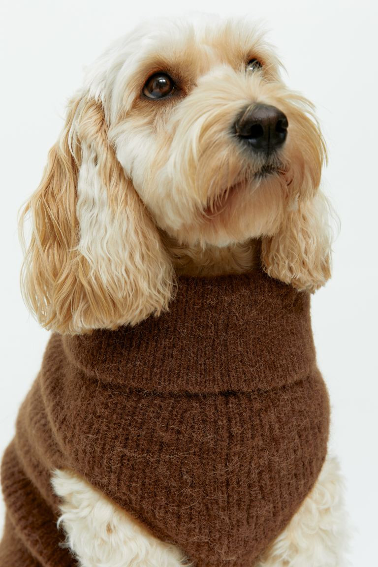 Strickpullover für Hunde - Braun - Men | H&M AT | H&M (DE, AT, CH, NL, FI)