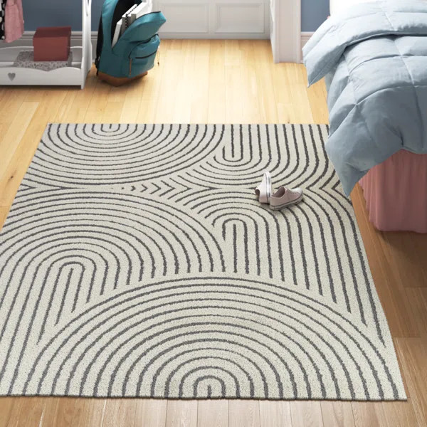Barklay Indoor Rug | Wayfair North America