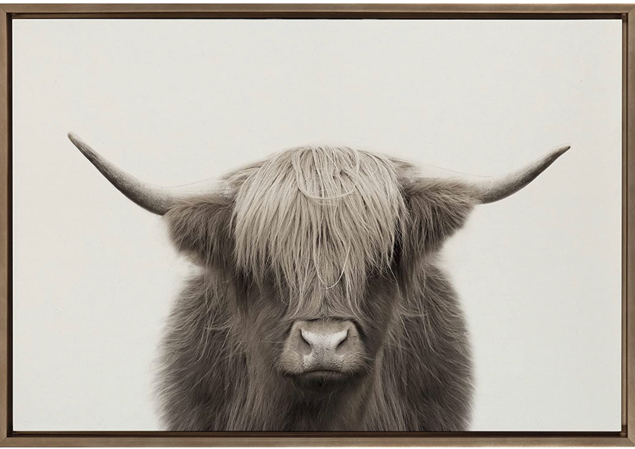 My Scottish cow! 

#LTKeurope #LTKhome #LTKstyletip