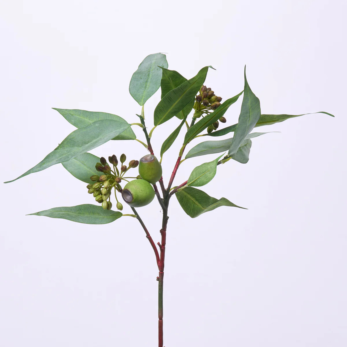 Seeding Eucalyptus Leaf & Pod Branch Spray Everyday Faux Greenery Foliage - 25" | Darby Creek Trading