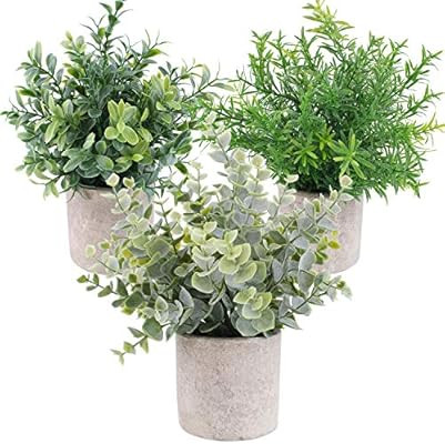OUTLEE 3 Pack Mini Artificial Potted Plants Faux Eucalyptus Plants Boxwood Rosemary Greenery in P... | Amazon (US)