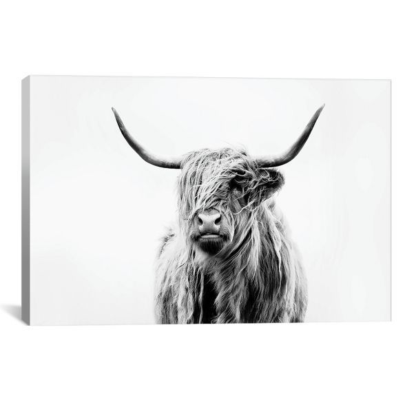Portrait Of A Highland Cow by Dorit Fuhg Canvas Print Black/White - iCanvas | Target
