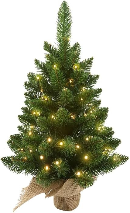 Small Christmas Tree with Lights,2ft Pre Lit Artificial Mini Xmas Tree for Tabletop,Outdoor,Bedro... | Amazon (US)