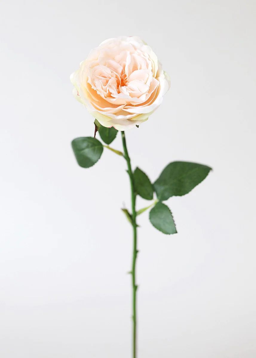 Peach Artificial English Cabbage Rose - 20.5 | Afloral (US)