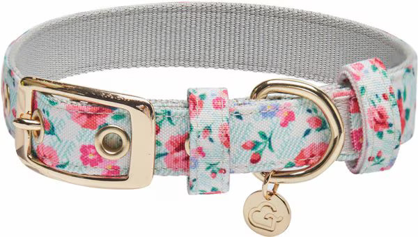 Dogs & Cats & Co. Rose Flower Polyester Dog Collar, Ashy Beige, Small: 12.5-in neck, 5/8-in wide | Chewy.com