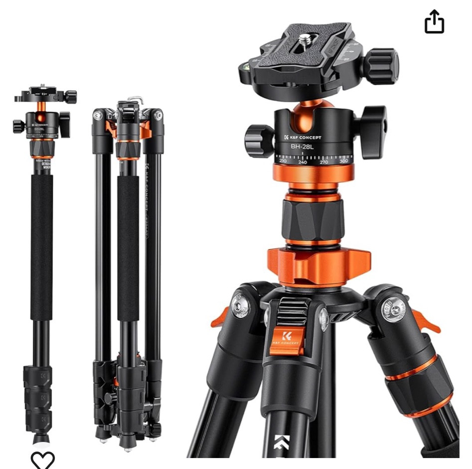 #LTKVideo
