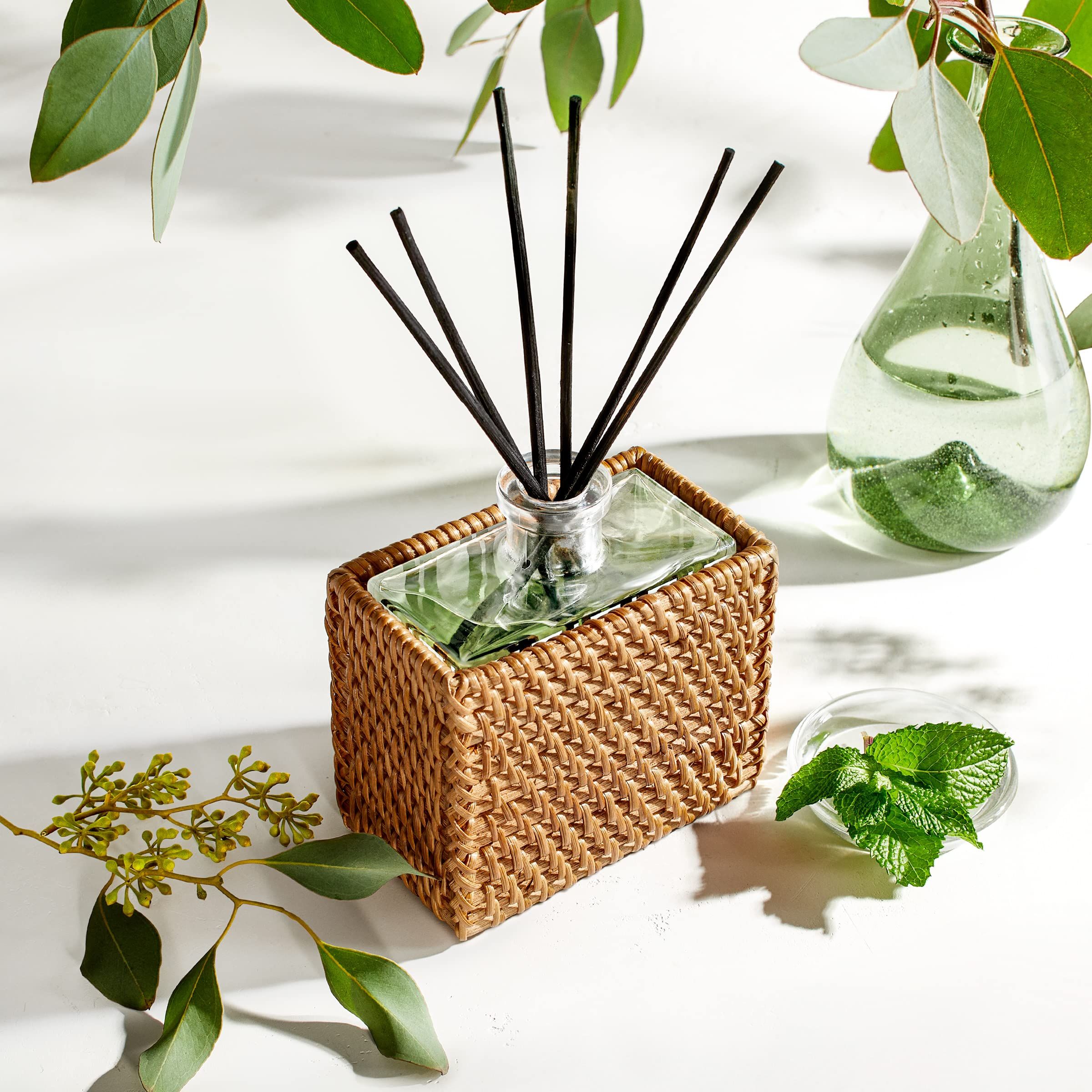 NEST Fragrances Wild Mint & Eucalyptus Fragrance Oil, Long-Lasting Reed Diffuser for Home with Ra... | Amazon (US)