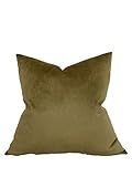 Robert Allen Olive Velvet Pillow Cover, Throw Pillows, Decorative Pillow Cover, Home Decor | Amazon (US)
