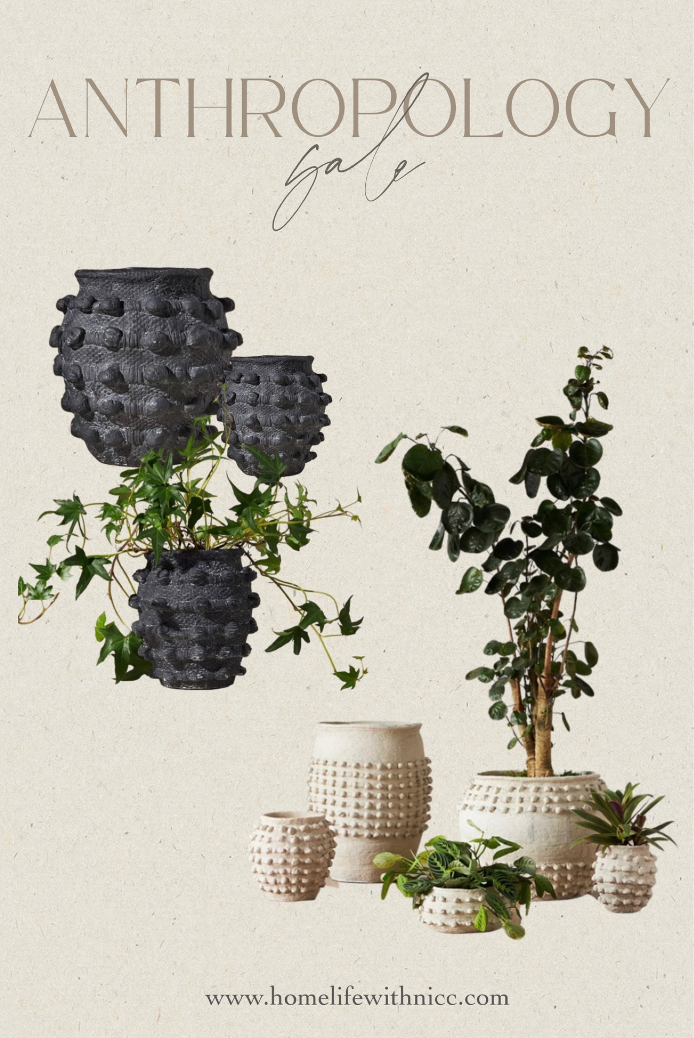 Minka pot on sale now! In both colors! Would be great for Mother’s Day gift! 
#anthropology #homedecorsale

#LTKhome #LTKGiftGuide #LTKsalealert