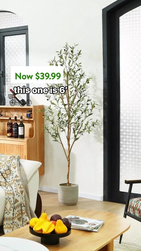 Finding a faux olive tree that looks real is a feat amongst itself. 🫒 But finding one under $50 is almost a miracle. This olive tree is such an incredible deal and it comes in multiple sizes from 4’ to 7’. 

The texture of the lifelike bark and leaves will have your friends questioning whether you have a green thumb they didn’t know about. It is meant to be repotted so you can choose a size that works for your space and really make it your own. 

#walmartfinds #walmarthome #walmart 

#LTKFindsUnder50 #LTKxWalmart #LTKHome