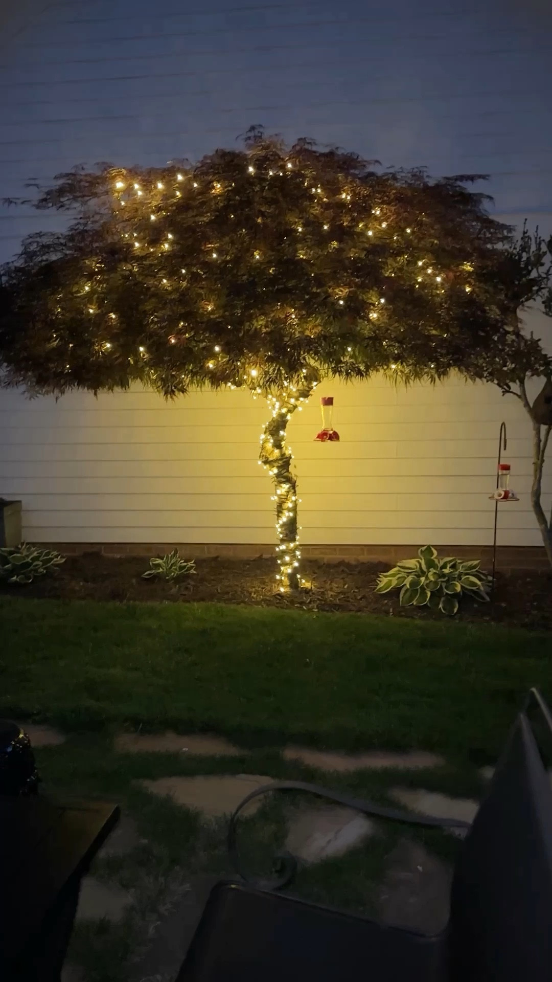 My Fairy Tree that is lit all year long!  it came about after reading my granddaughter's about the flower fairies!    In incredibly sweet book that I actually found in an antique store.   Lucky for you and your grandchildren it's been re-published.🧚

#LTKFindsUnder50 #LTKKids #LTKHome