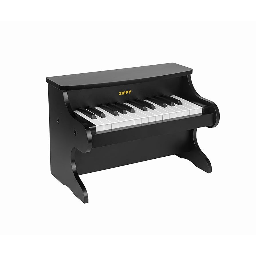 ZIPPY Kids Piano Keyboard, 25 Keys Digital Piano for Kids, Mini Music Educational Instrument Toy,... | Amazon (US)