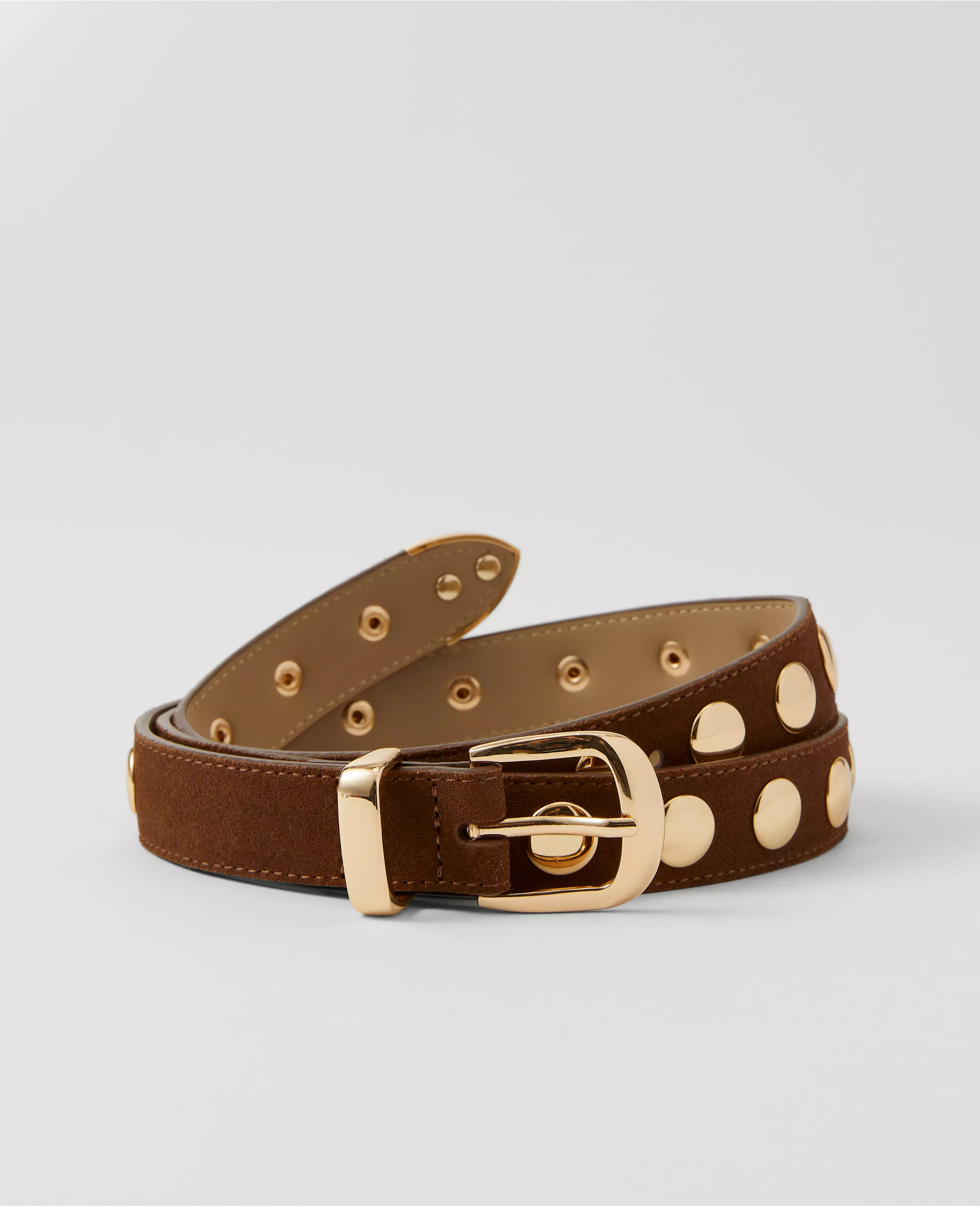 Suede Studded Belt | Ann Taylor